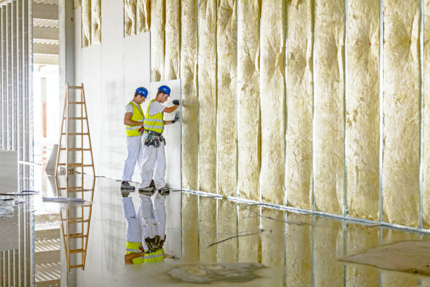Best Geographic-Specific Insulation Services in Rossville, MD